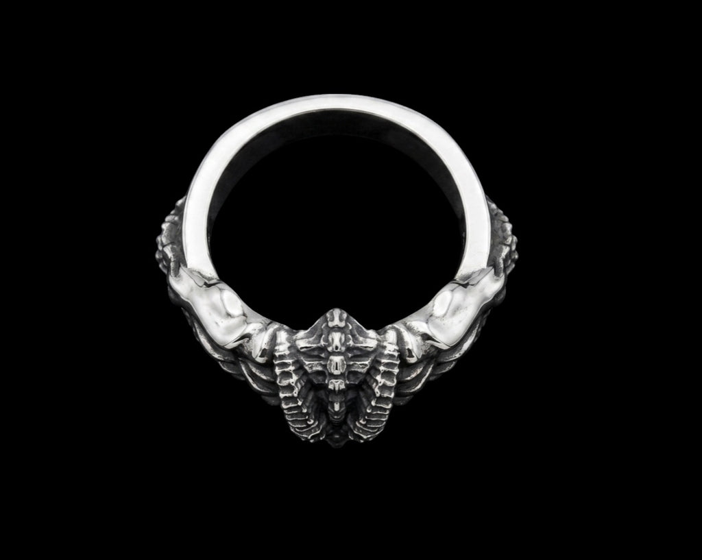 The Horned Skull Ring - top view