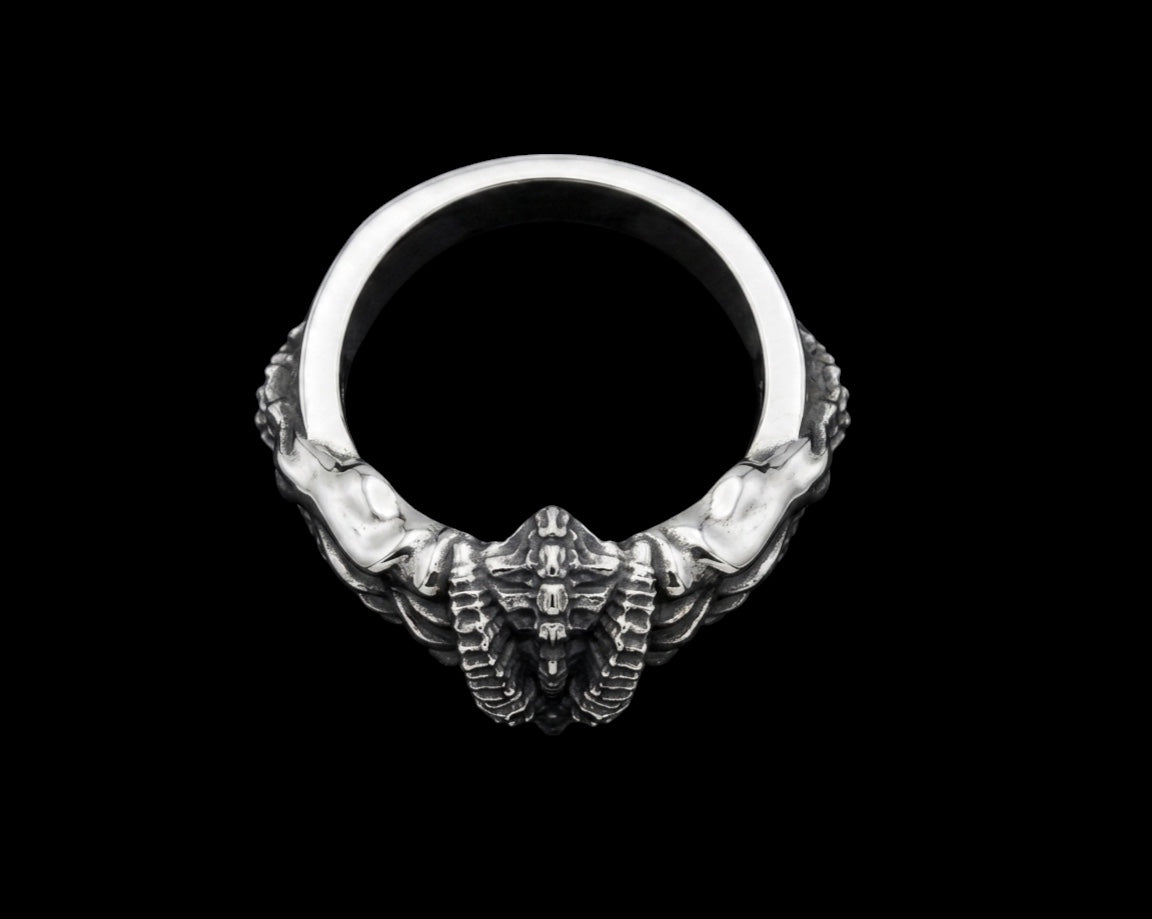 The Horned Skull Ring - top view