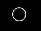 The Vesica Band Ring - top view