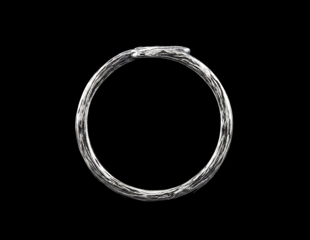 The Torsion Band Ring - top view