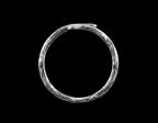 The Torsion Band Ring - top view