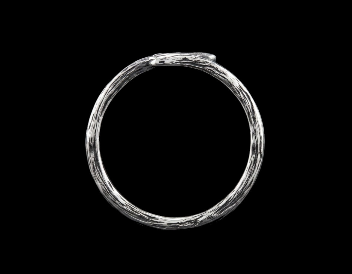 The Torsion Band Ring - top view