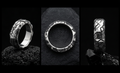 The Fractured Ring